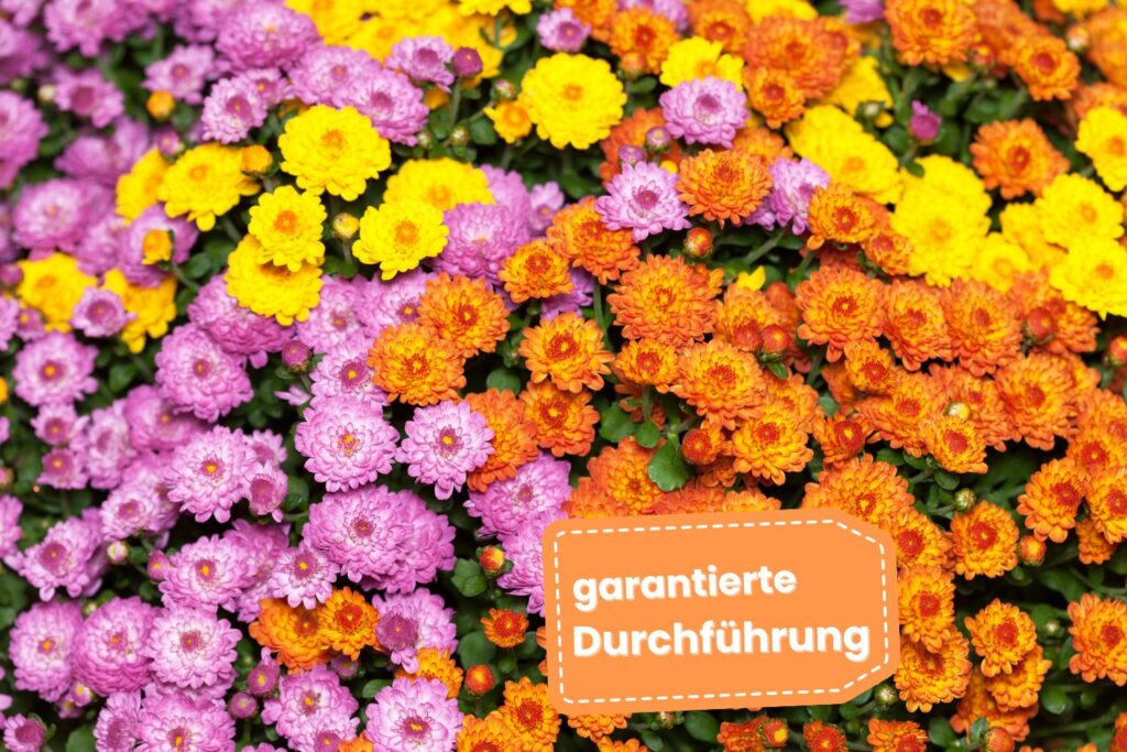Garantierte Durchfuehrung Lahr