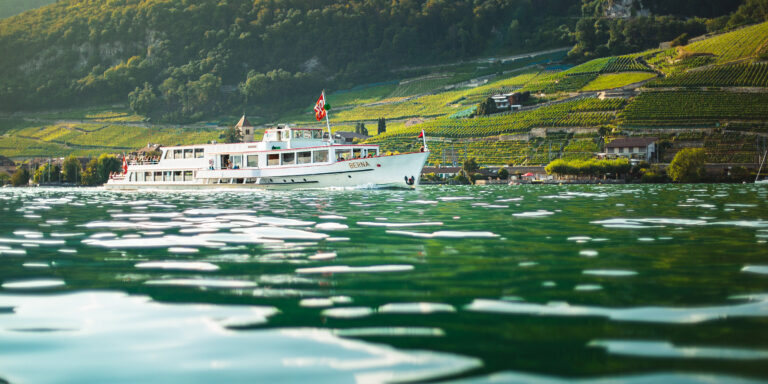 csm__g6a0073_2f51d11ba2